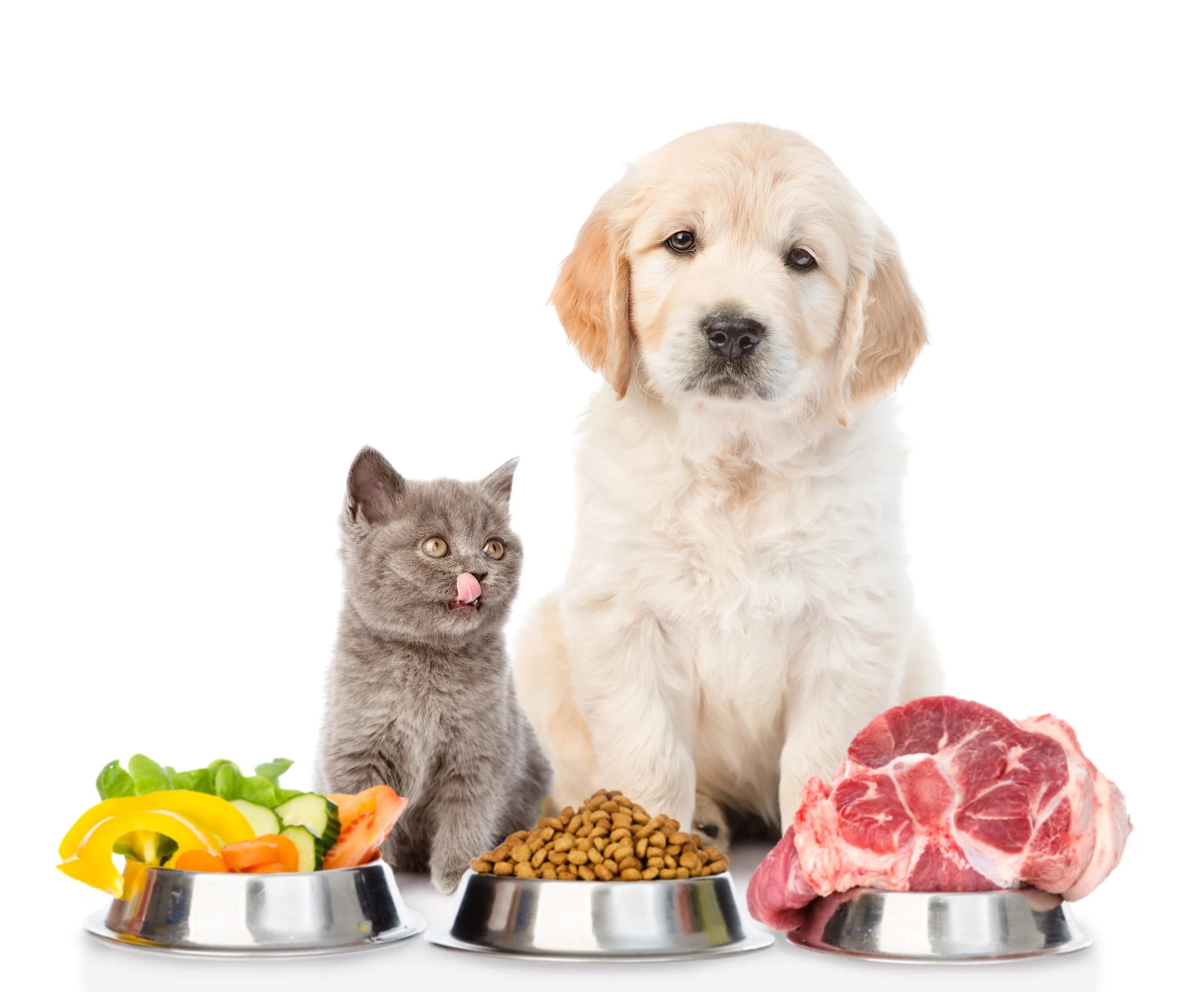 Pet Food Solutions — Third Wave Bioactives
