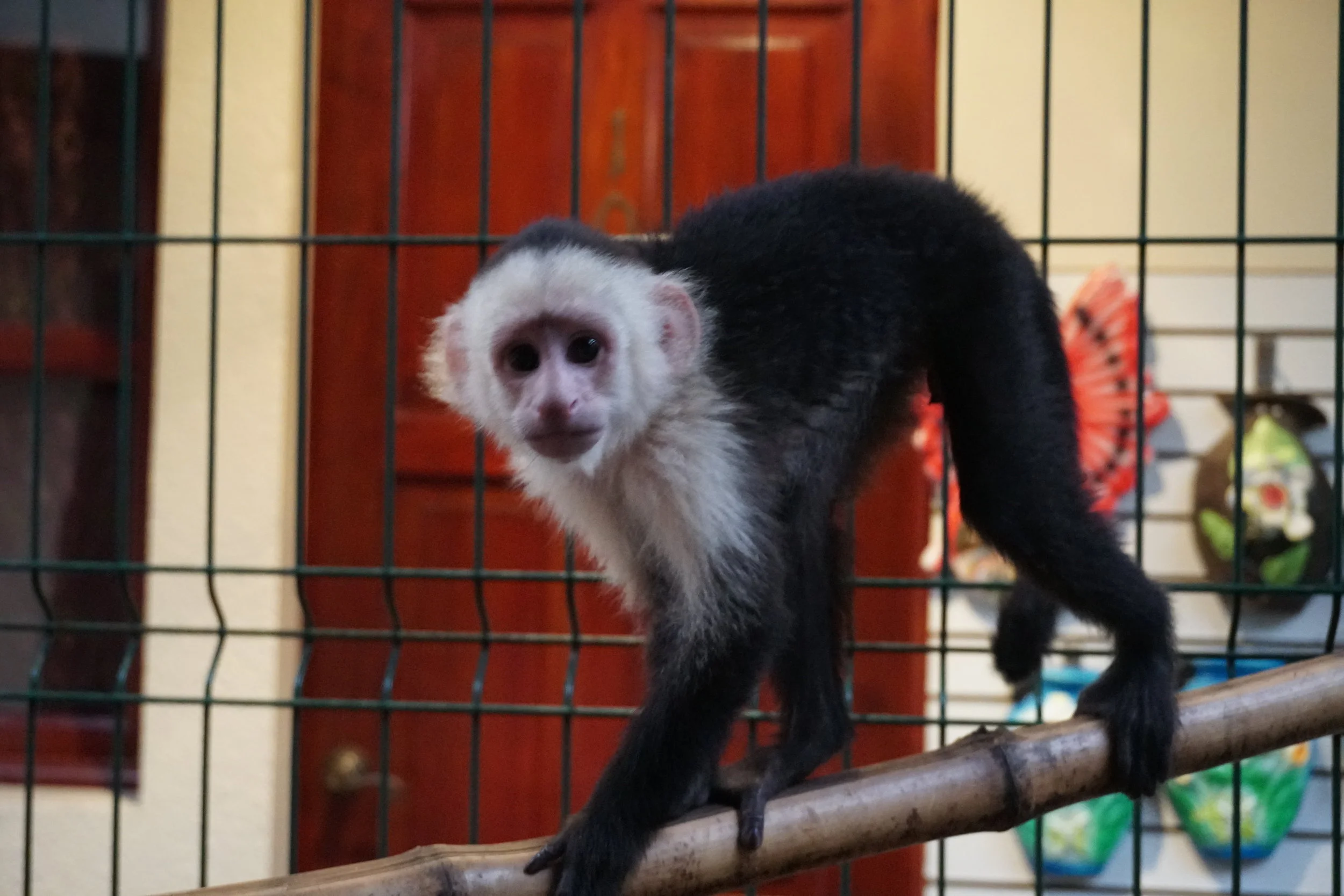 Country #20 - Nicaragua