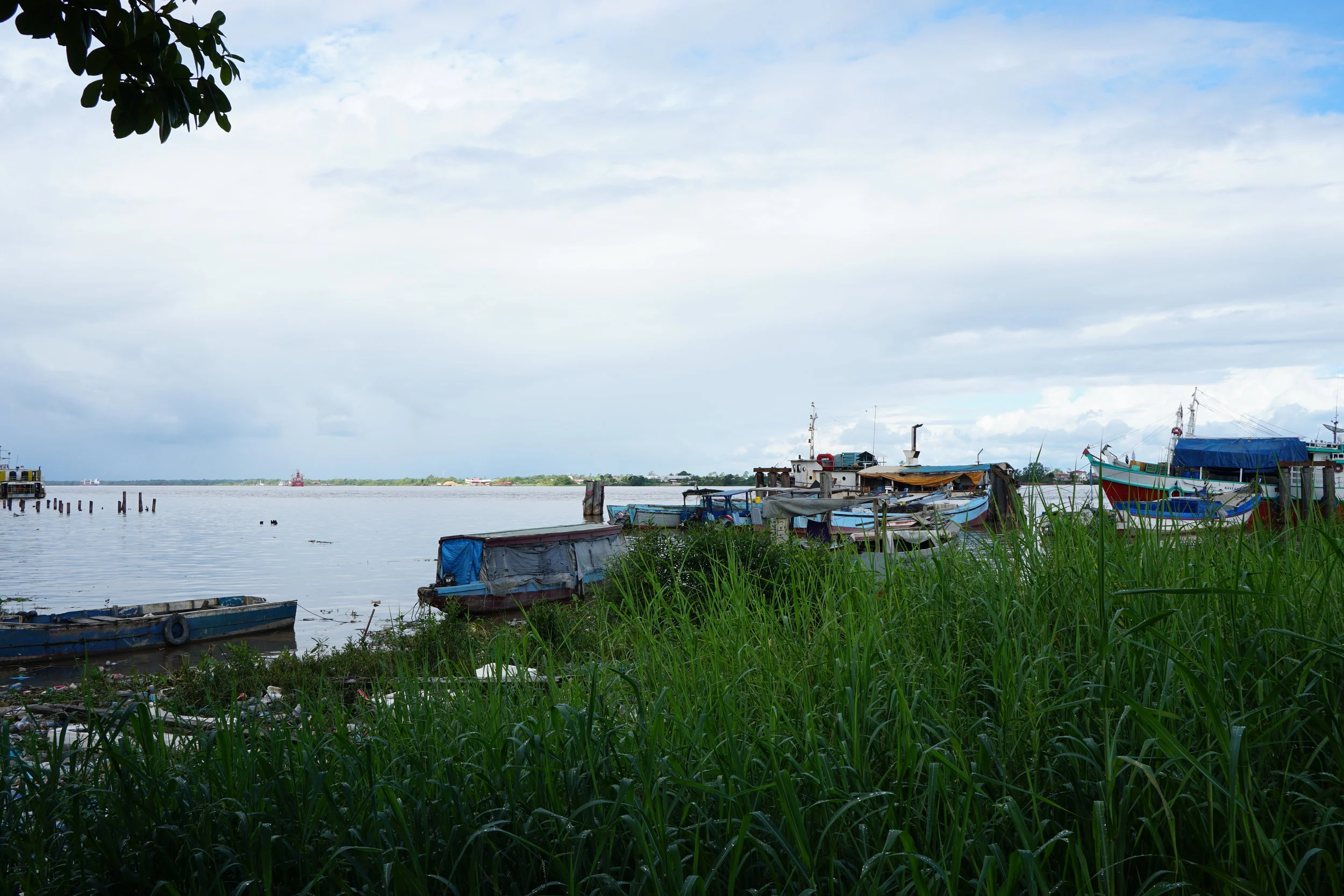 Country #6 – Suriname