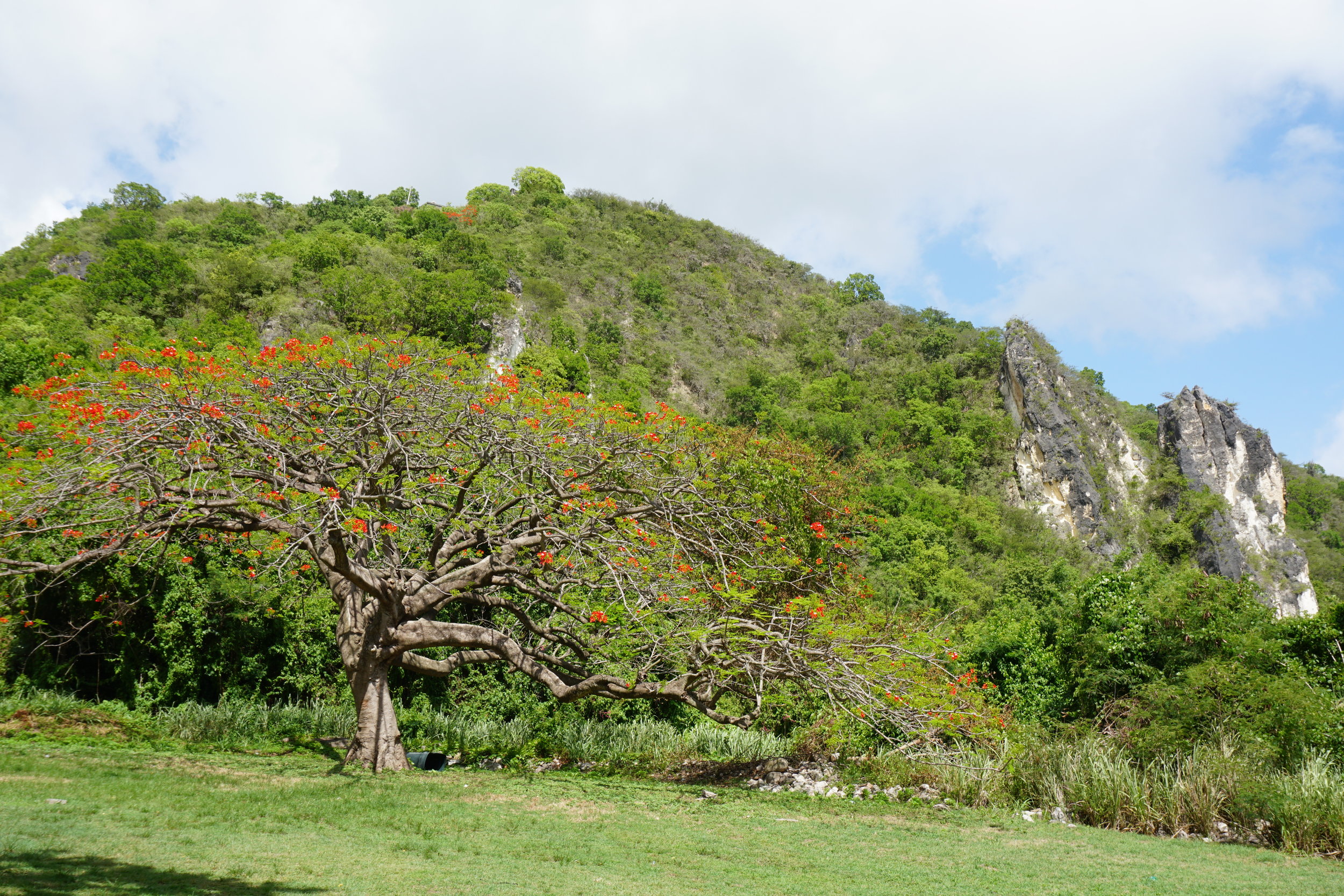 Country #12 – Saint Kitts and Nevis