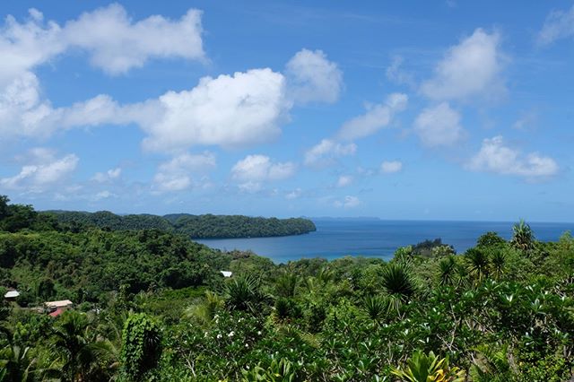 🇵🇼 ⠀
Palau is the first Pacific Island of my trip and an absolutely stunning one. As you can see, the view from my room made me want to stay in all day and enjoy it! I was, however, able to get out and see more of the island during my stay. I loved