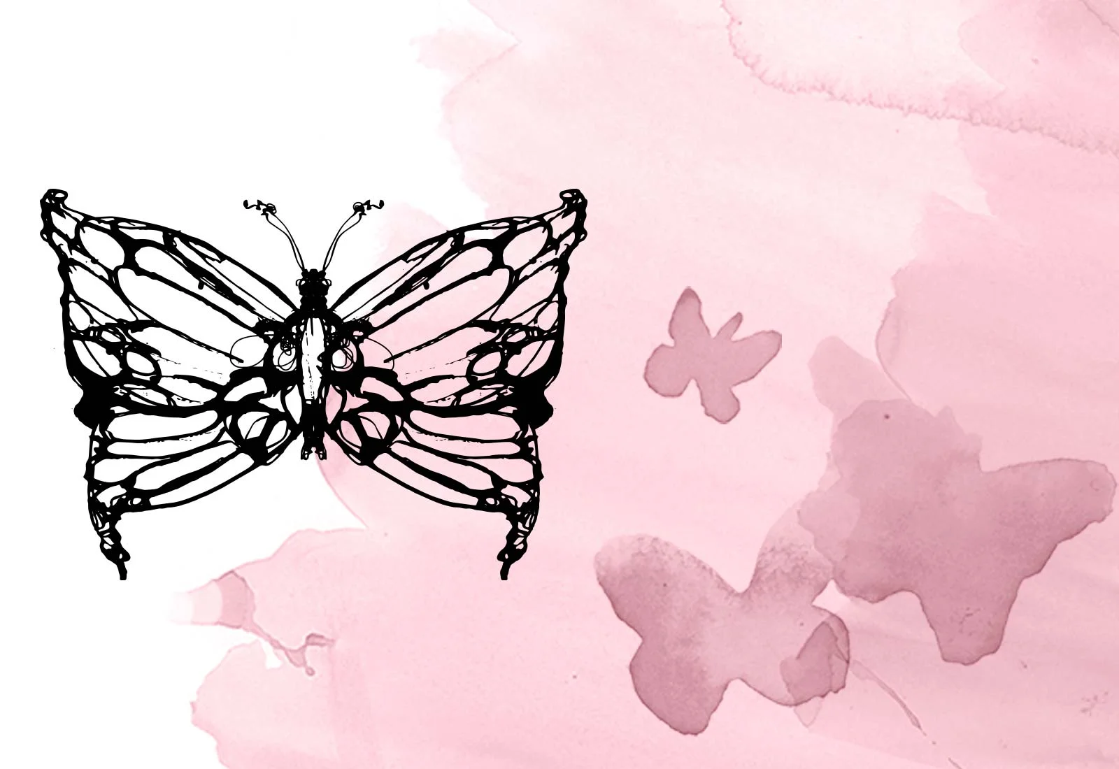 postcard-butterlfies-.jpg
