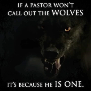 wolf.jpg