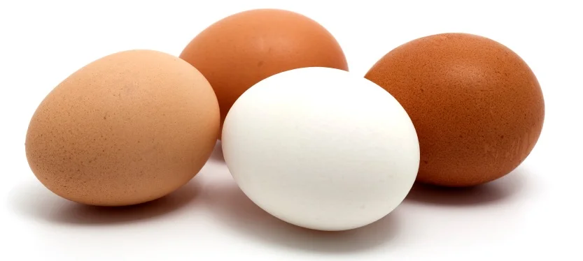 eggs.jpg