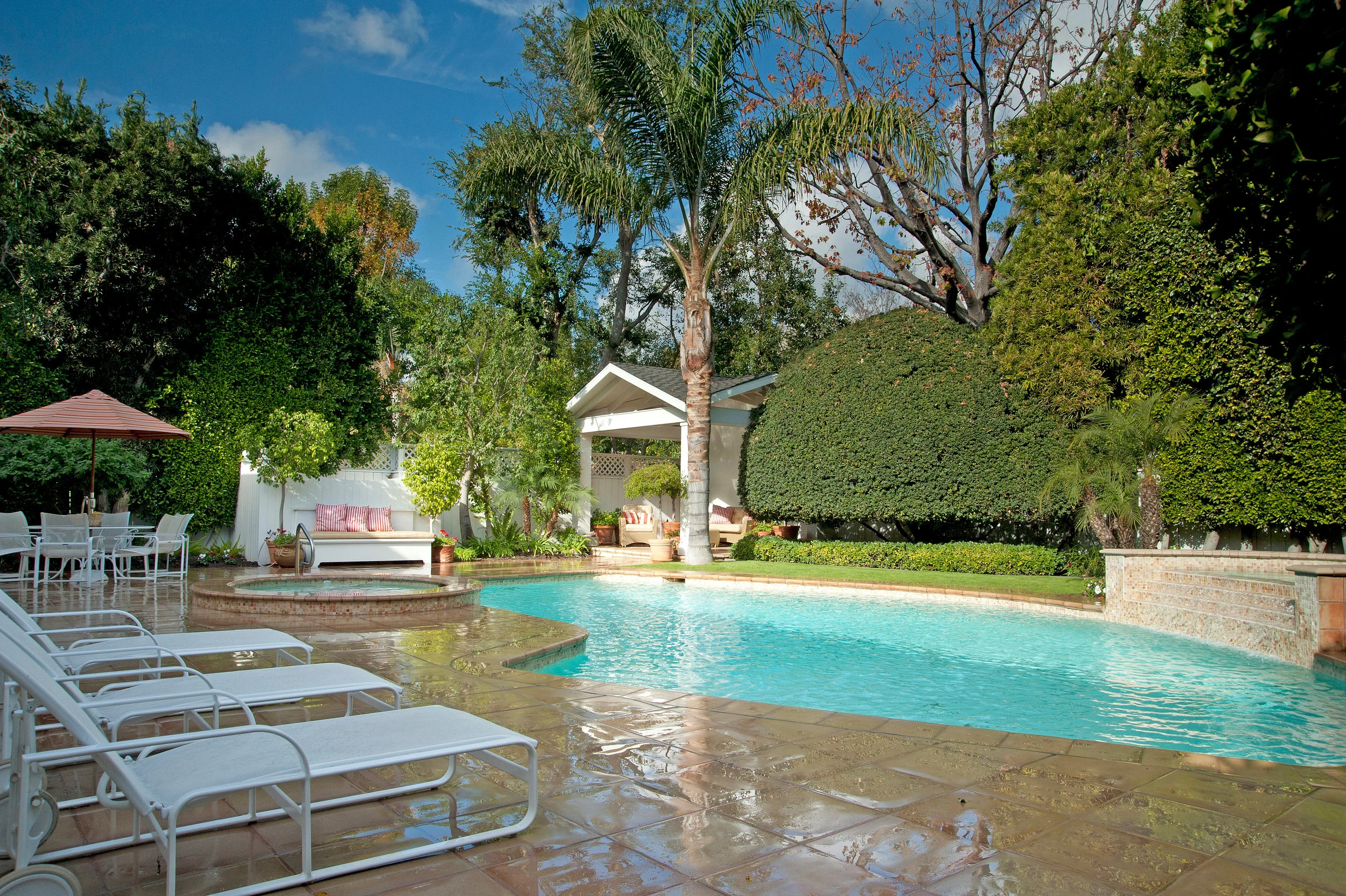 backyard.jpg