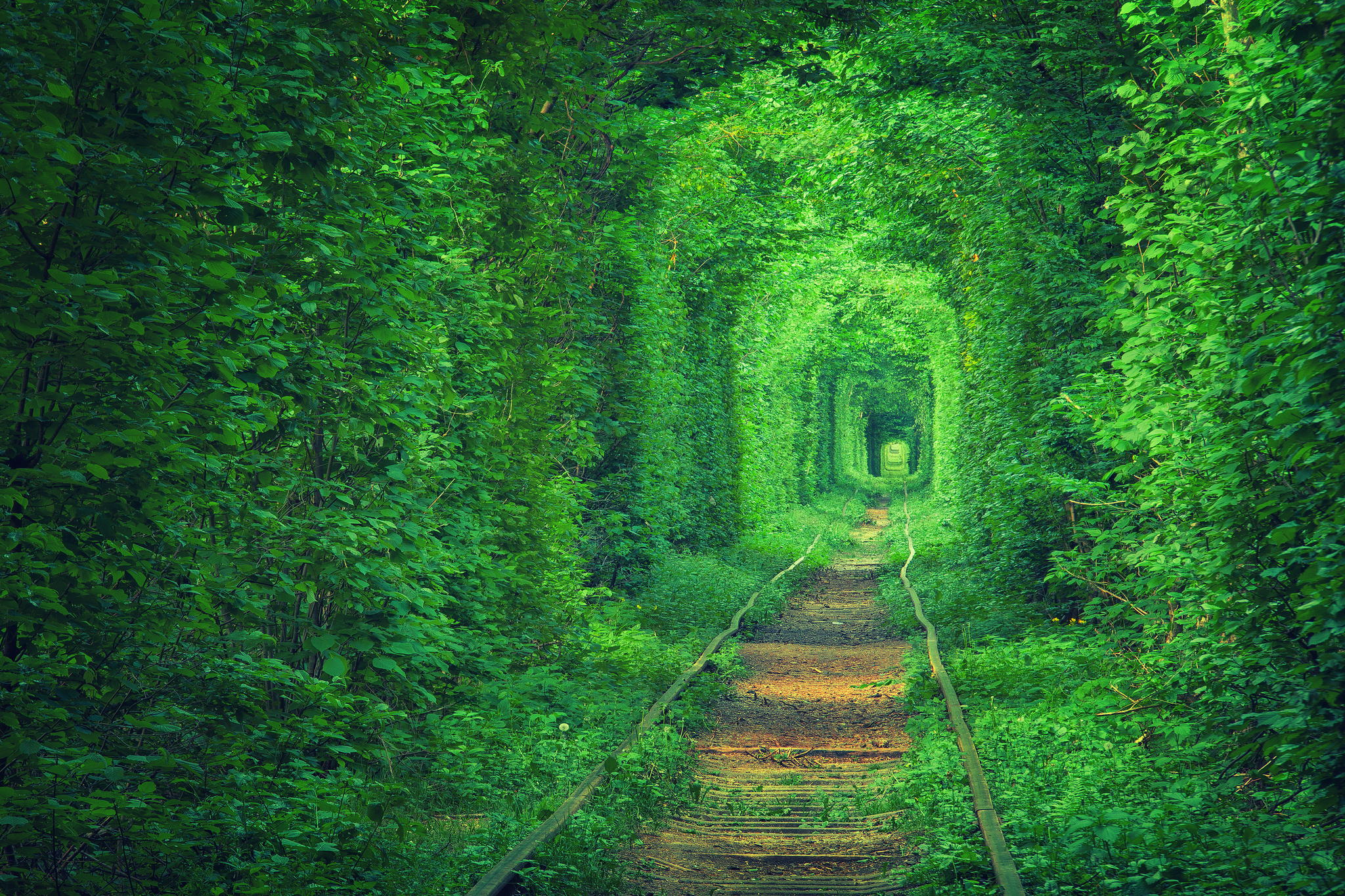 Tunnel of Love, Ukraine.