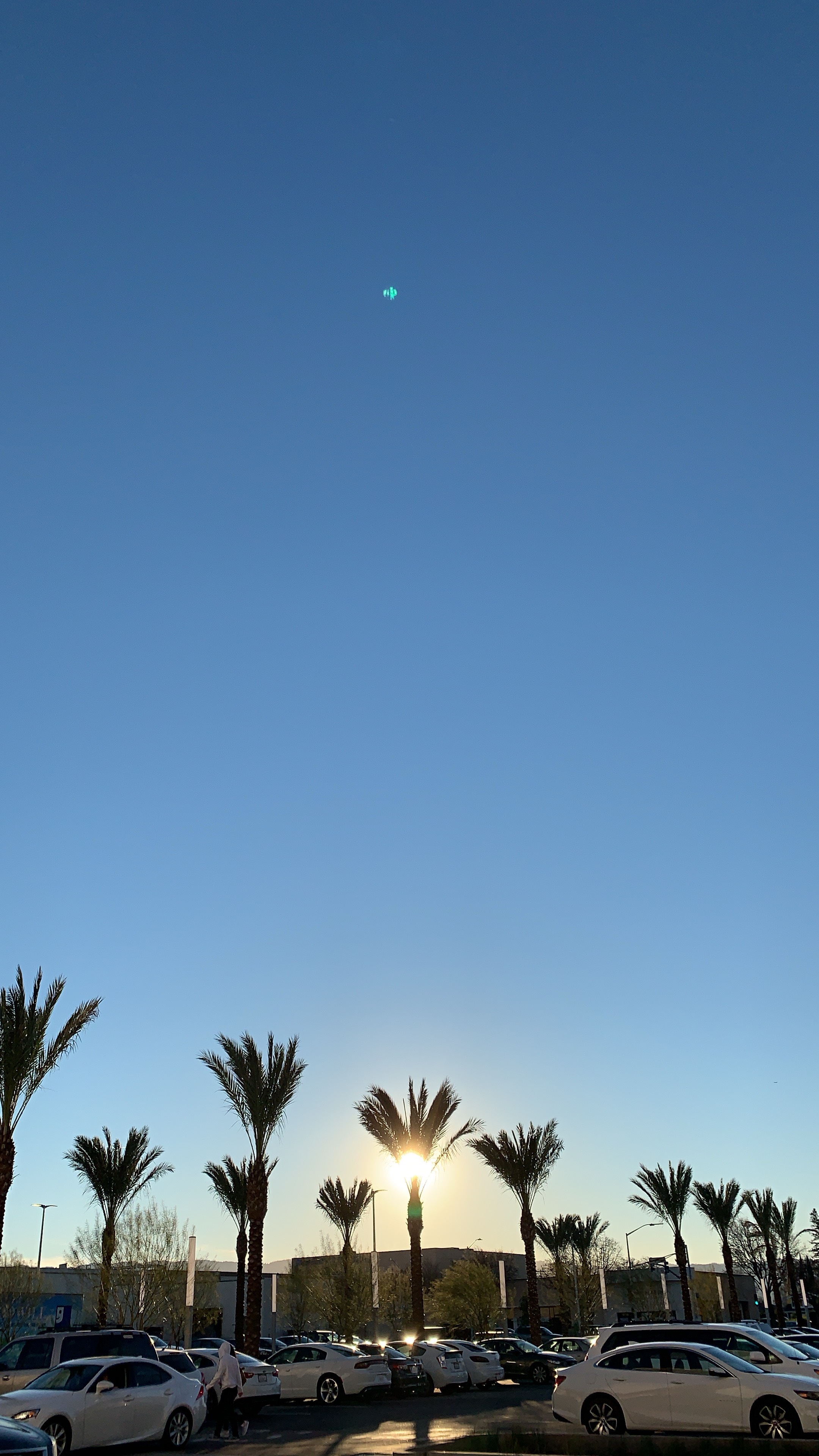 IMG_1178.jpeg