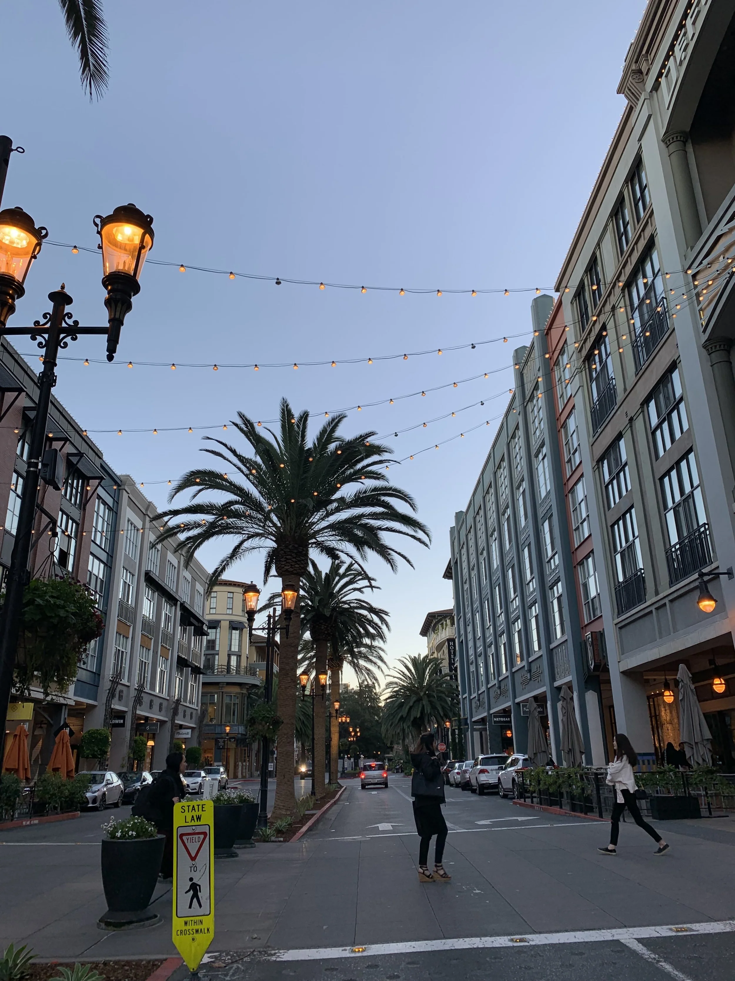 IMG_1266.jpeg