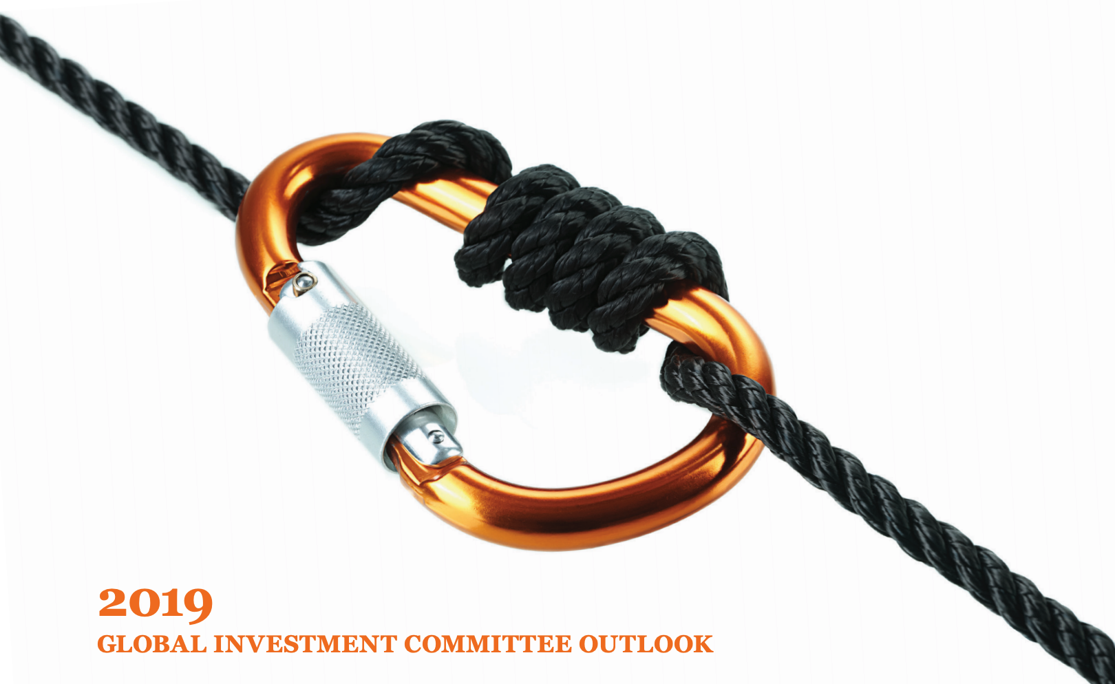 TIAA 2019 Global Investment Committee Outlook