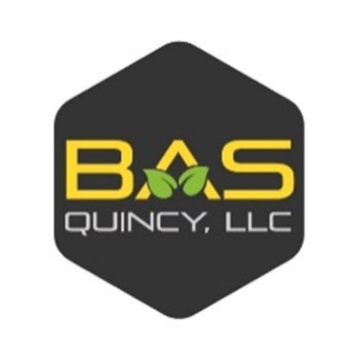 BAS-Quincy---Logo.png