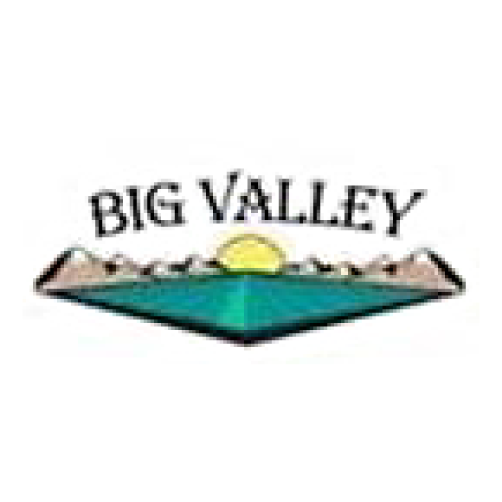 Big-Valley-Labor-Logo.png