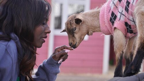 Freedom Farm (Israel)