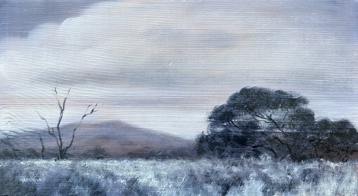 Salt Bush Country_web.jpg