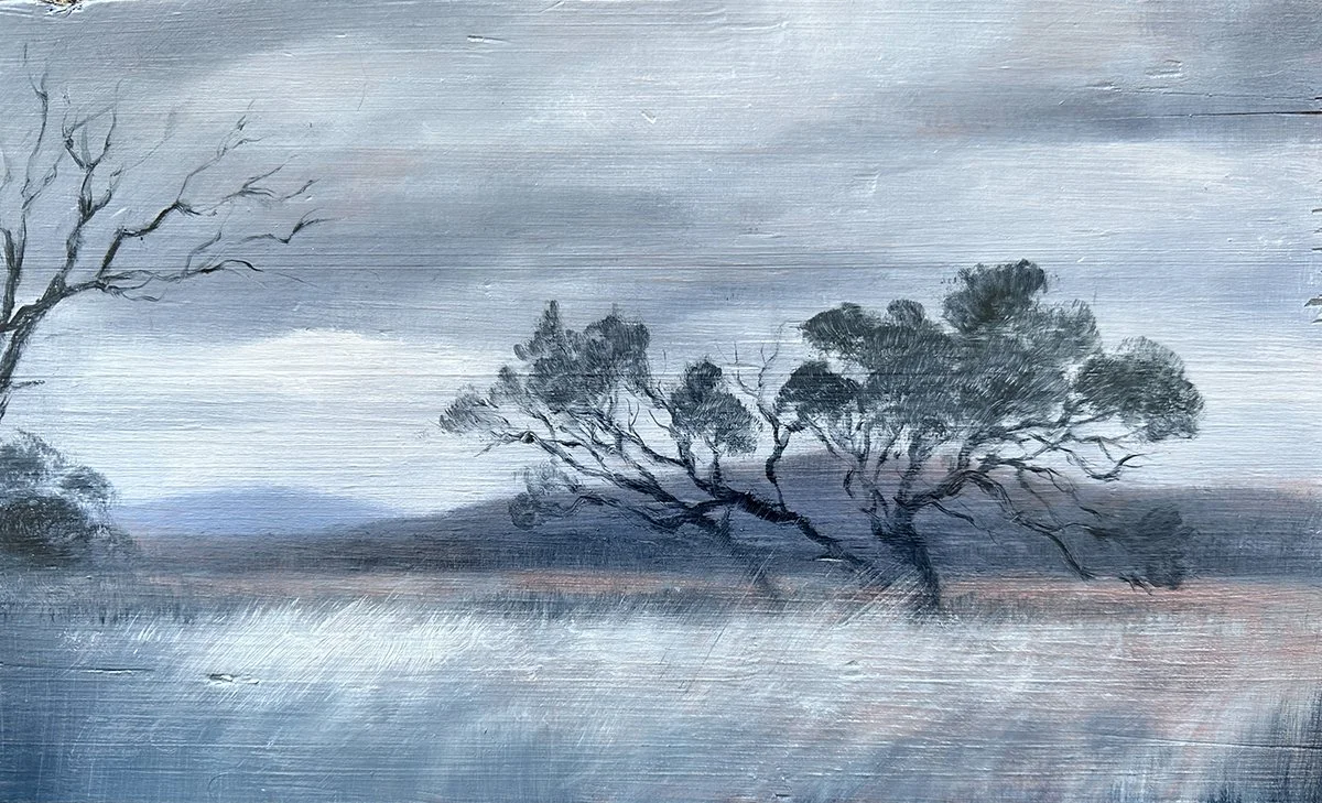 Gawler Ranges Horizon_web.jpg