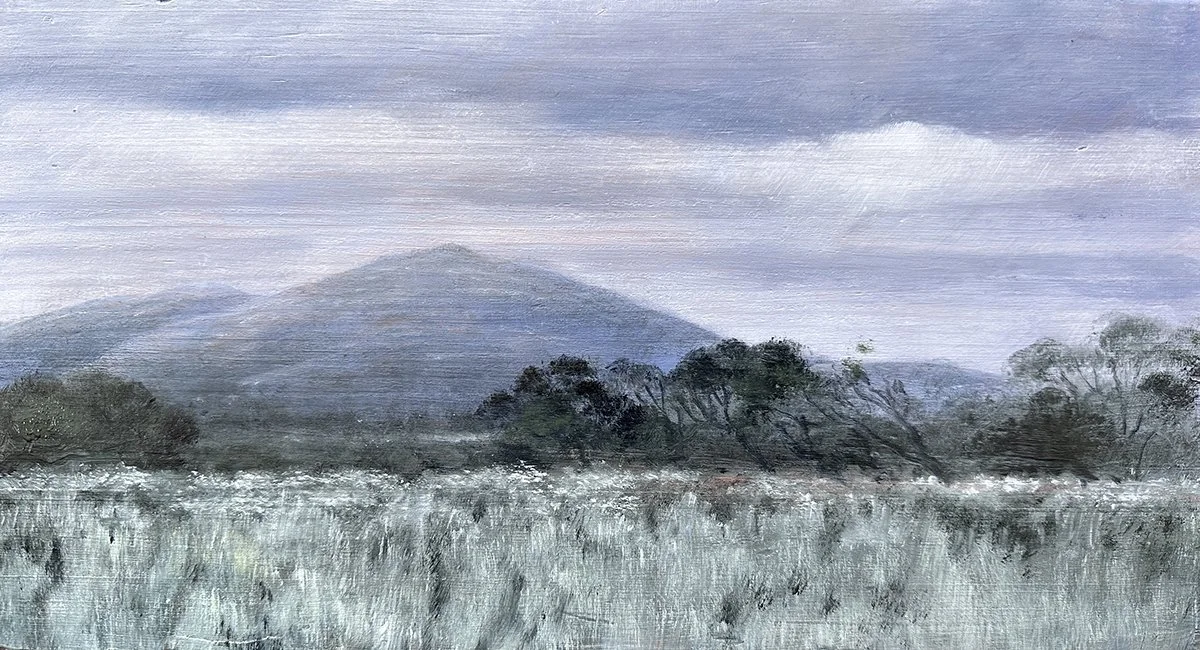 Storm Over Gawler Ranges_web.jpg