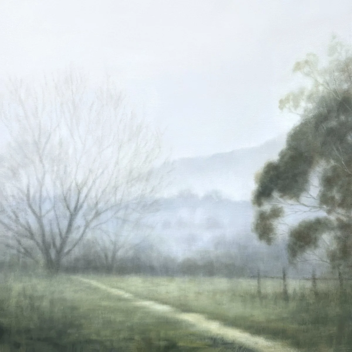 Trail to the Creek_101x101cm_web.jpg