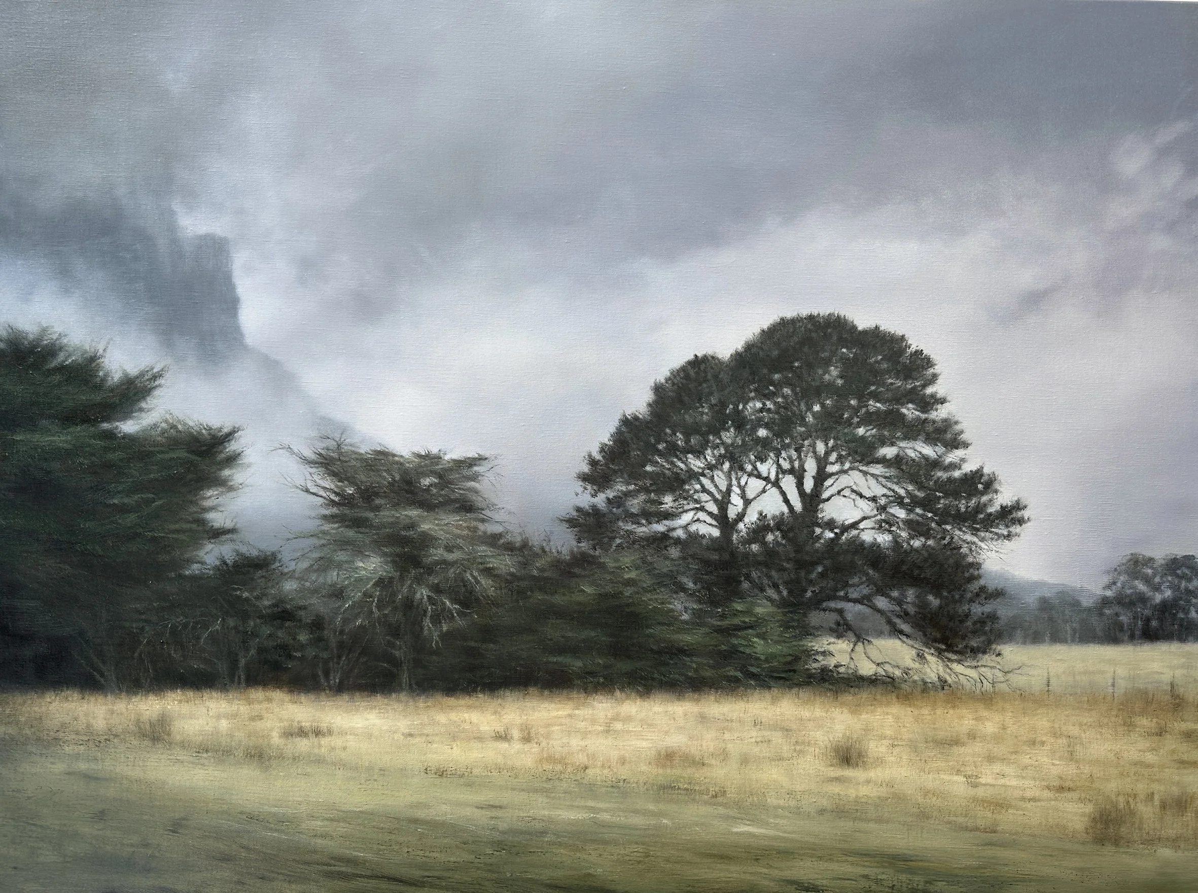 Romany Mollison_Cloud Descends, Mt Sturgeon_web.jpg