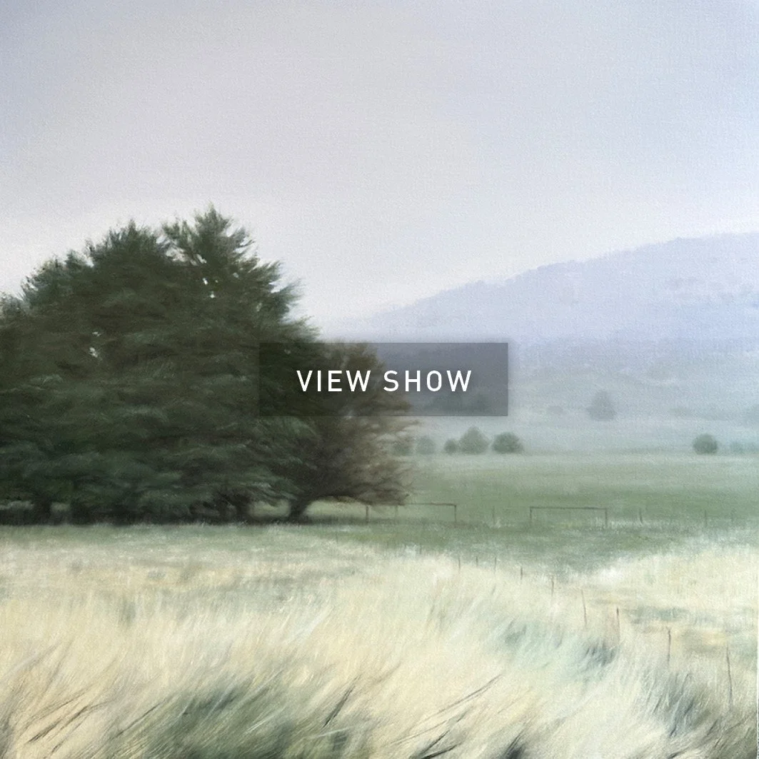 ART_WEBSITE)FRONT PAGE FOR SHOWS_WGROUND_HS_ILLUMINATE.jpg