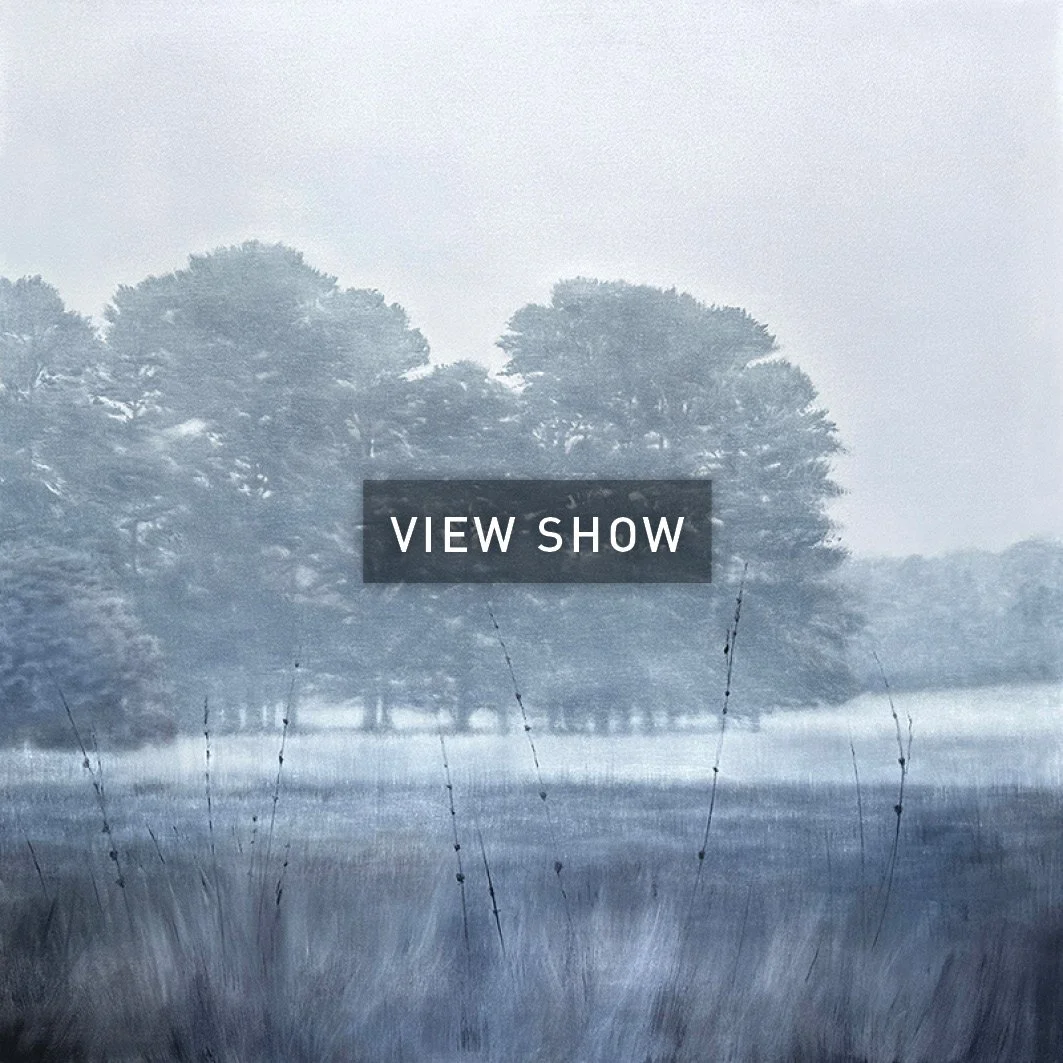 ART_WEBSITE FRONT PAGE FOR SHOWS_SALT 2024.jpg