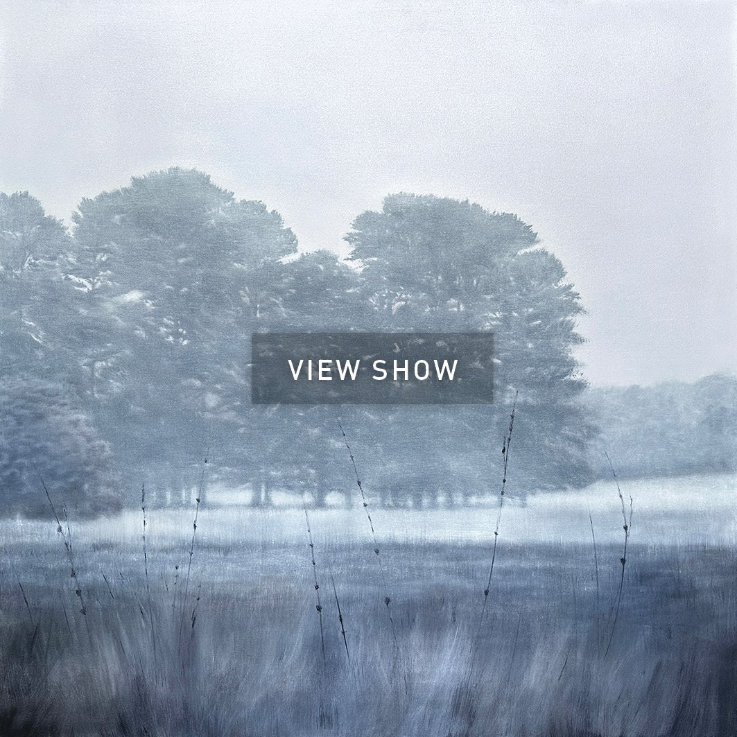 ART_WEBSITE)FRONT PAGE FOR SHOWS_WGROUND_SALT24.jpg