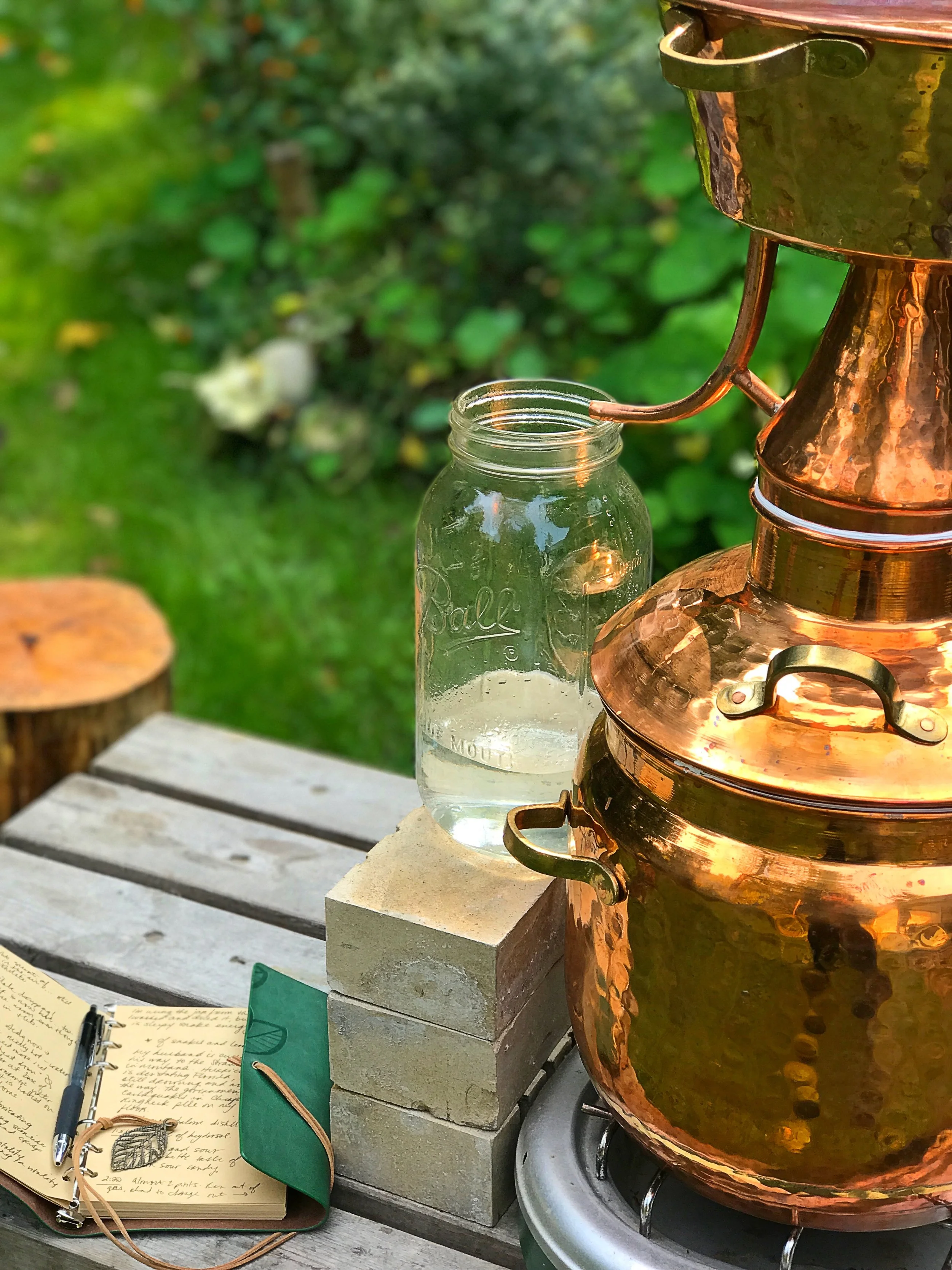 Experiential Aromatherapy: A Vital Approach