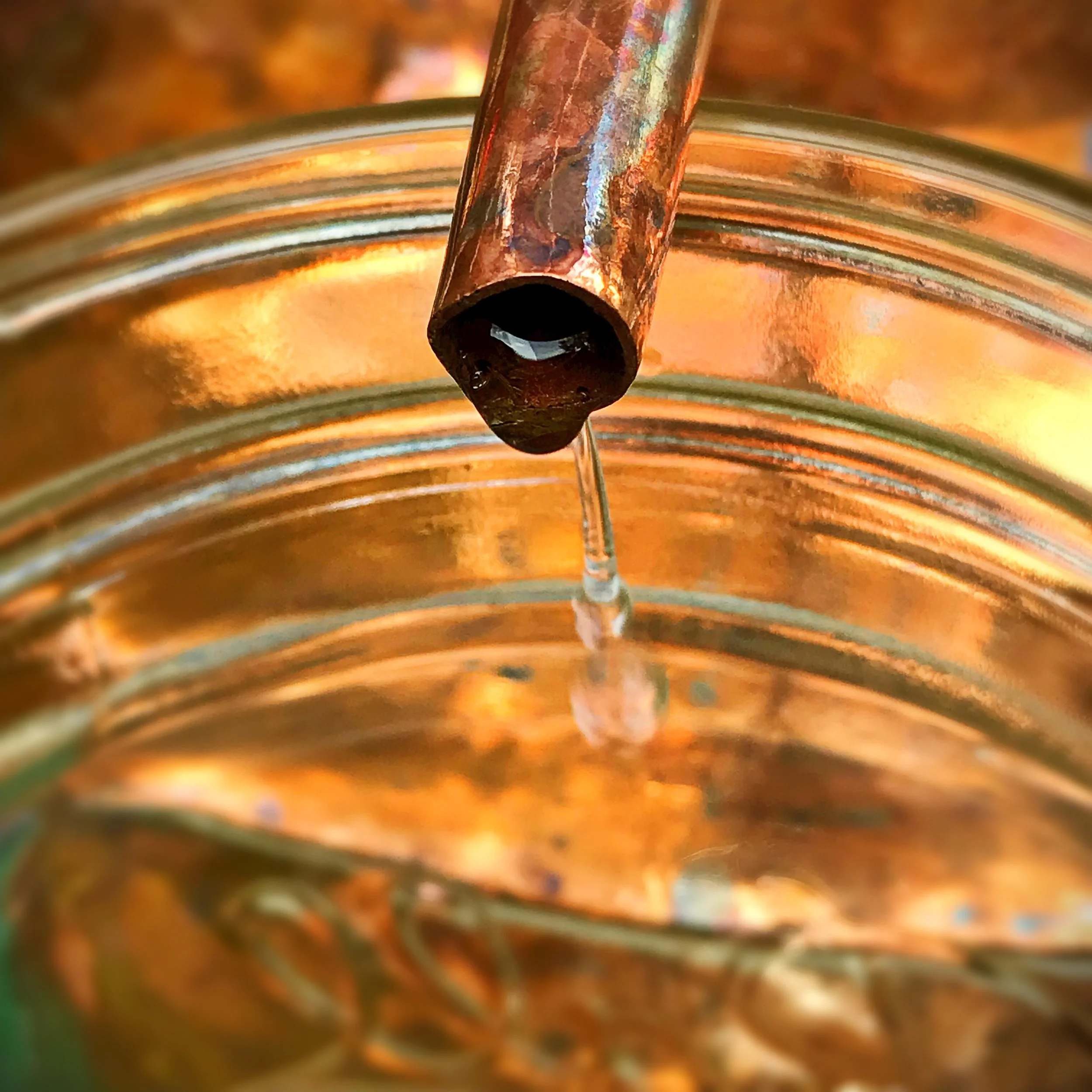 The Healing Art of Aromatic Distillation: Honoring the Summer Solstice 