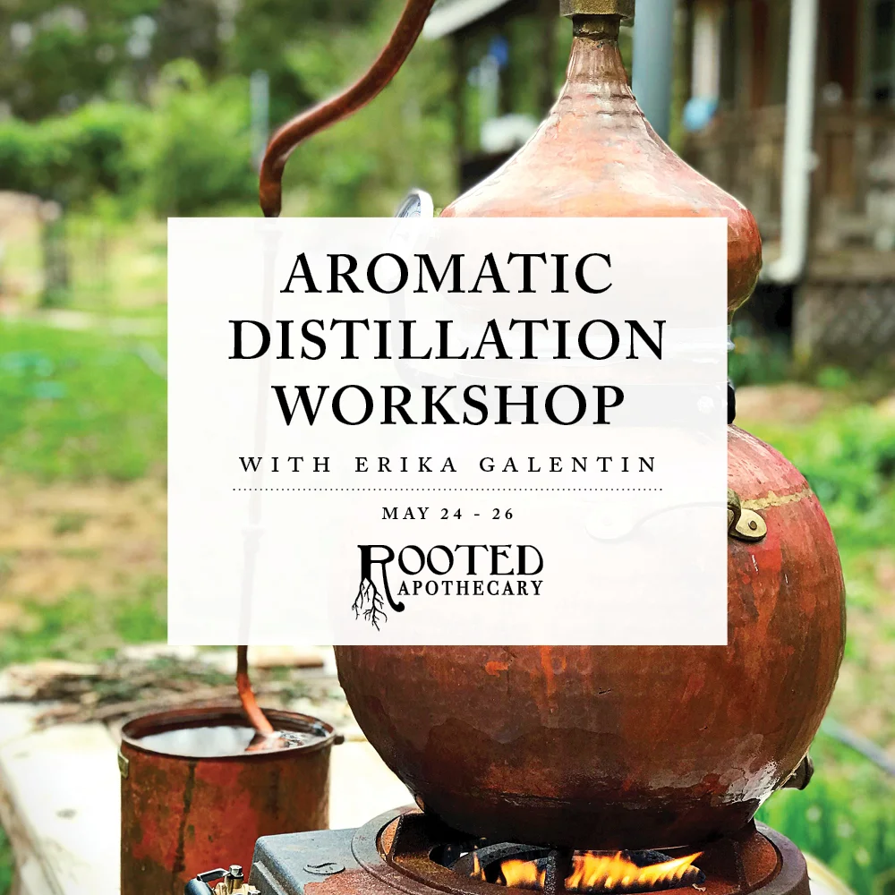 Aromatic Distillation: Exploring Self through Aroma, Plants, & Landscape