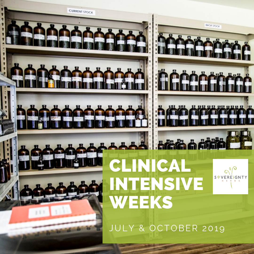 Clinical Training Intensive Week 1