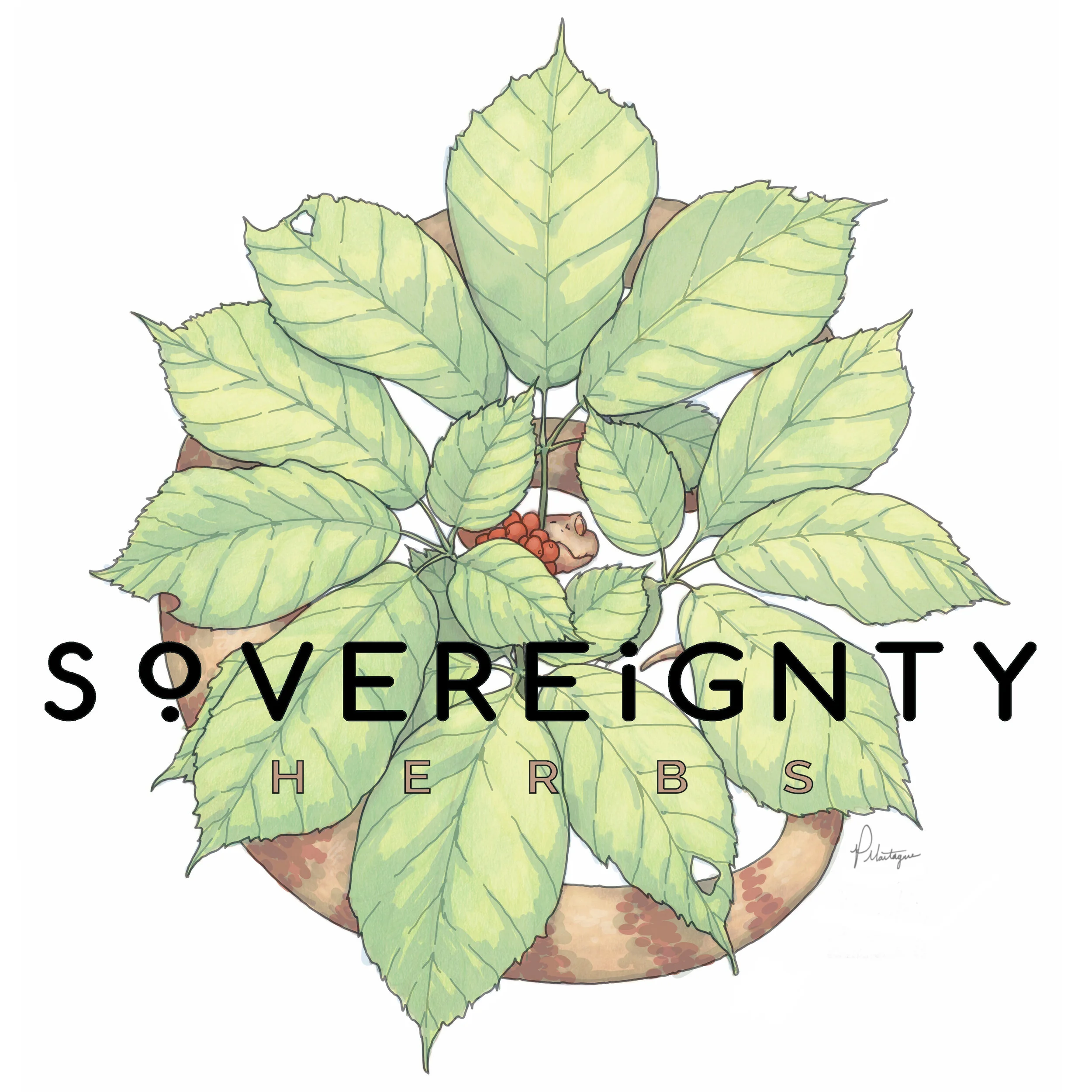 Sovereignty Herbs Logo