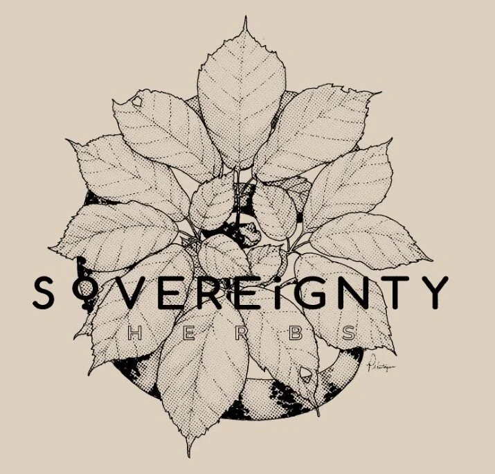 Black and white ginseng logo