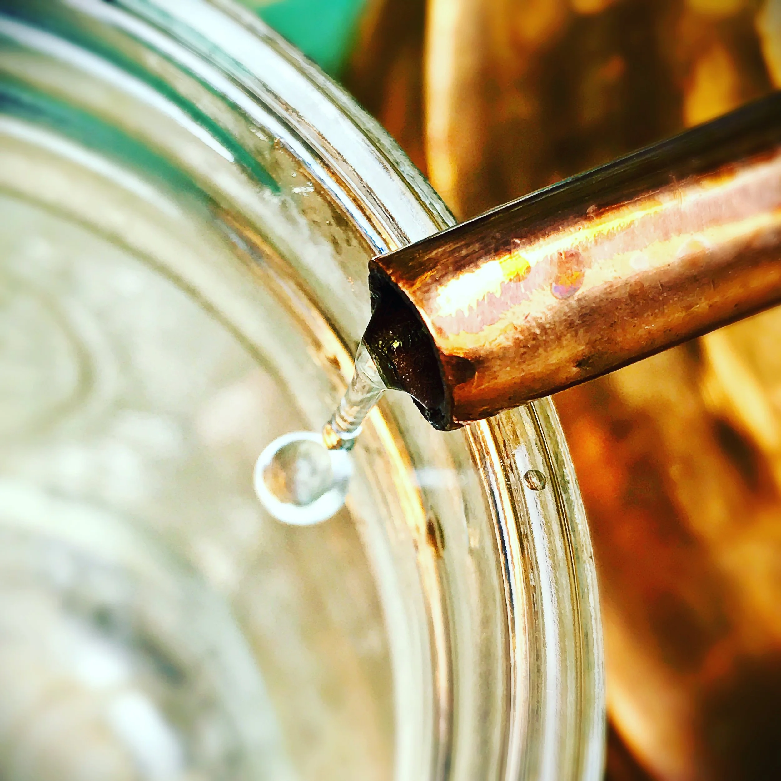 In Person: Aromatic Distillation and Aromatherapy Workshops at Forest and Meadow