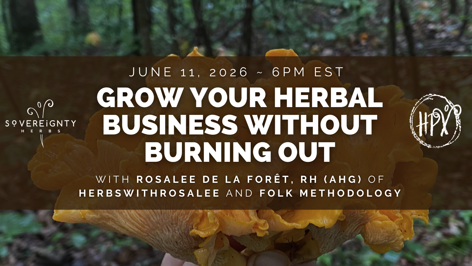 Grow Your Herbal Business Without Burning Out with Rosalee de la Forêt