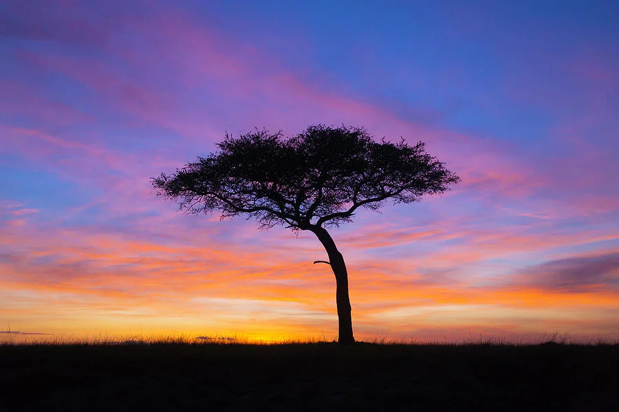 kenyan-sunrise-dennis-stever.jpg