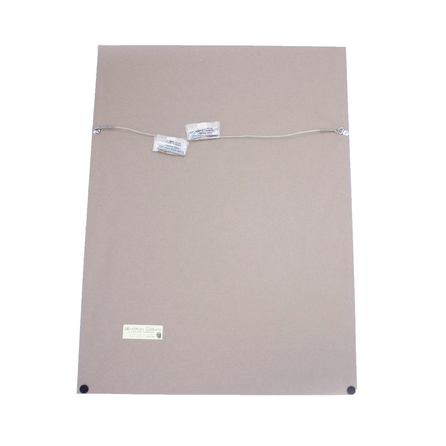 framed sonia delaunay print