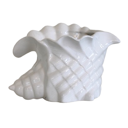 Photo_Mar_17_2026__1_16_23_PM-removebg-preview.png