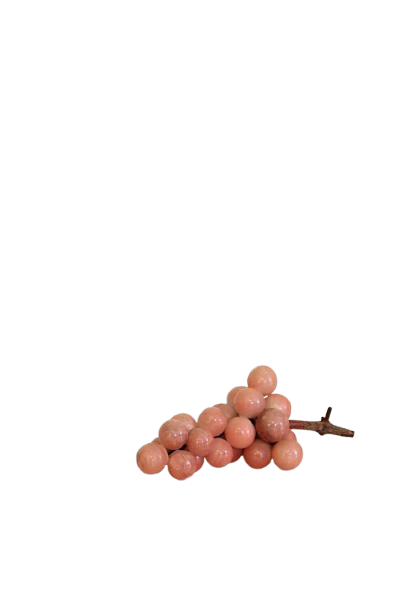 IMG_2042-removebg-preview.png