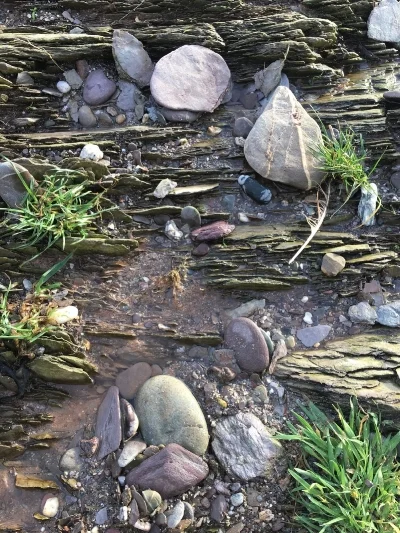 I spotted these beautiful patterns & textures at Wembury Beach during a family walk on New Year's Eve. 