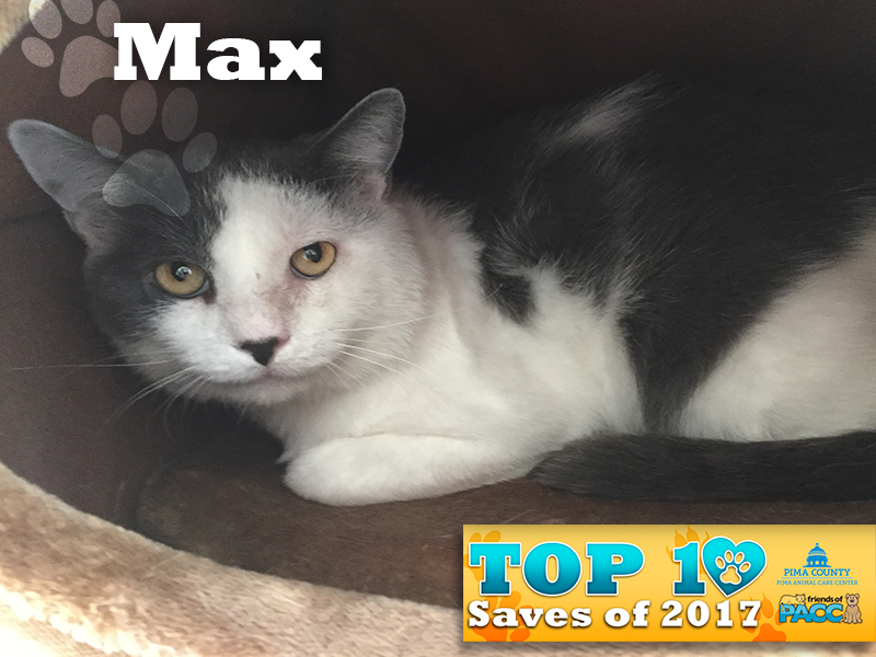 fo_PACC17_1000 Ten Best_Saves-Max.png