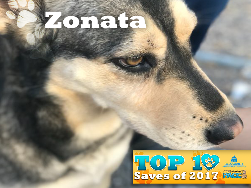 fo_PACC17_1000 Ten Best_Saves-Zonata.png