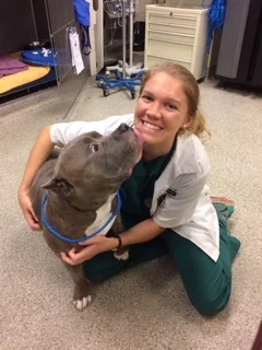 New Veterinarian Joins Lifesaving PACC Team