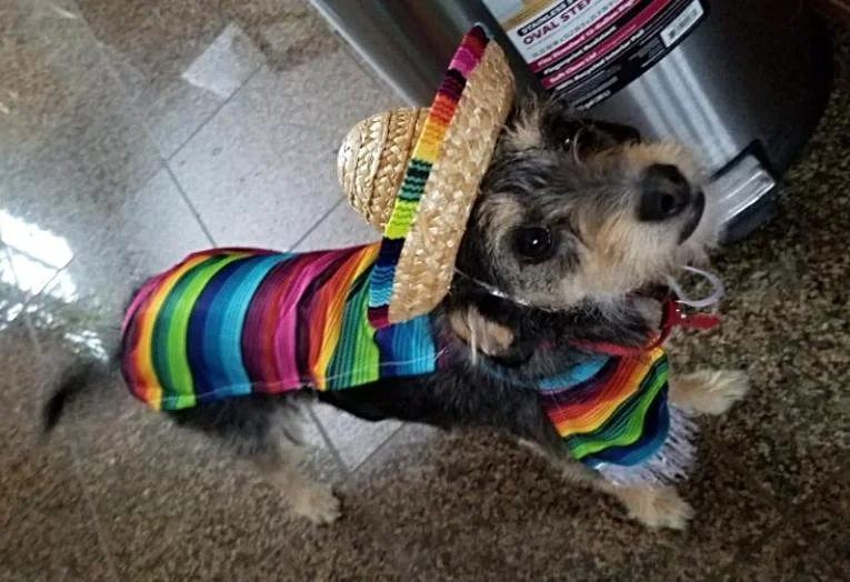 First Place: Sabrina as “A Walking Fiesta!”