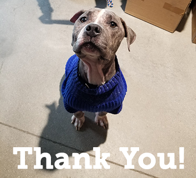 Bubbles says thank you for giving him hope!