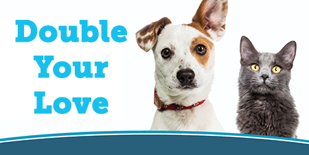 DoubleYourLoveBanner.png