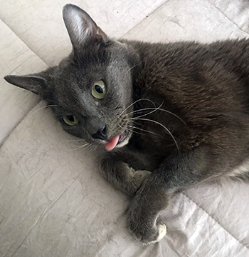 Sammy says thank you!