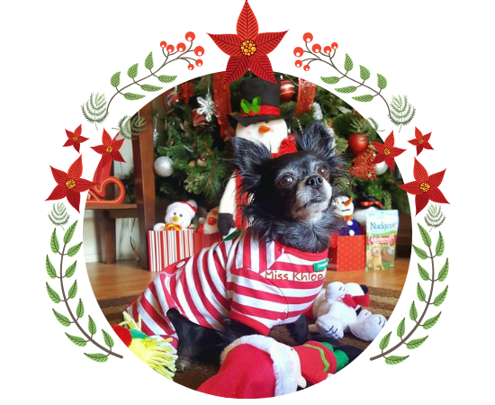 Miss Khloe Topper 1 (1).png