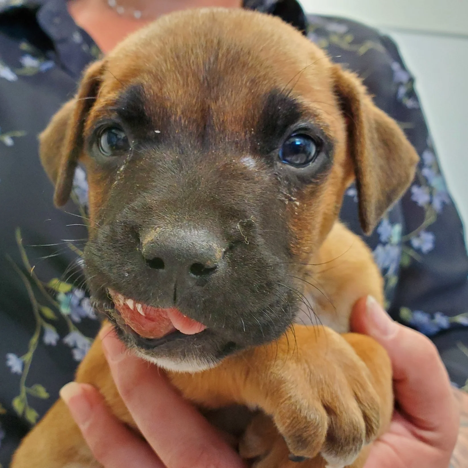 Your Love Helped Wabi-Sabi and More!