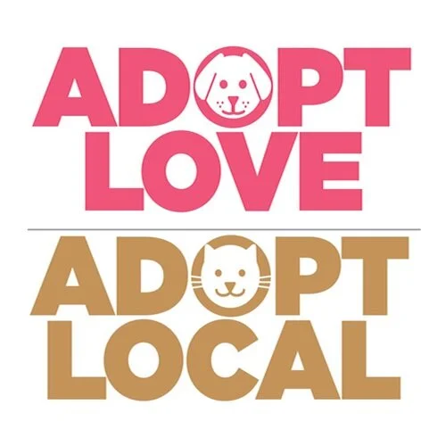 Adopt Love Adopt Local Celebrates 5 Years of Finding Homes