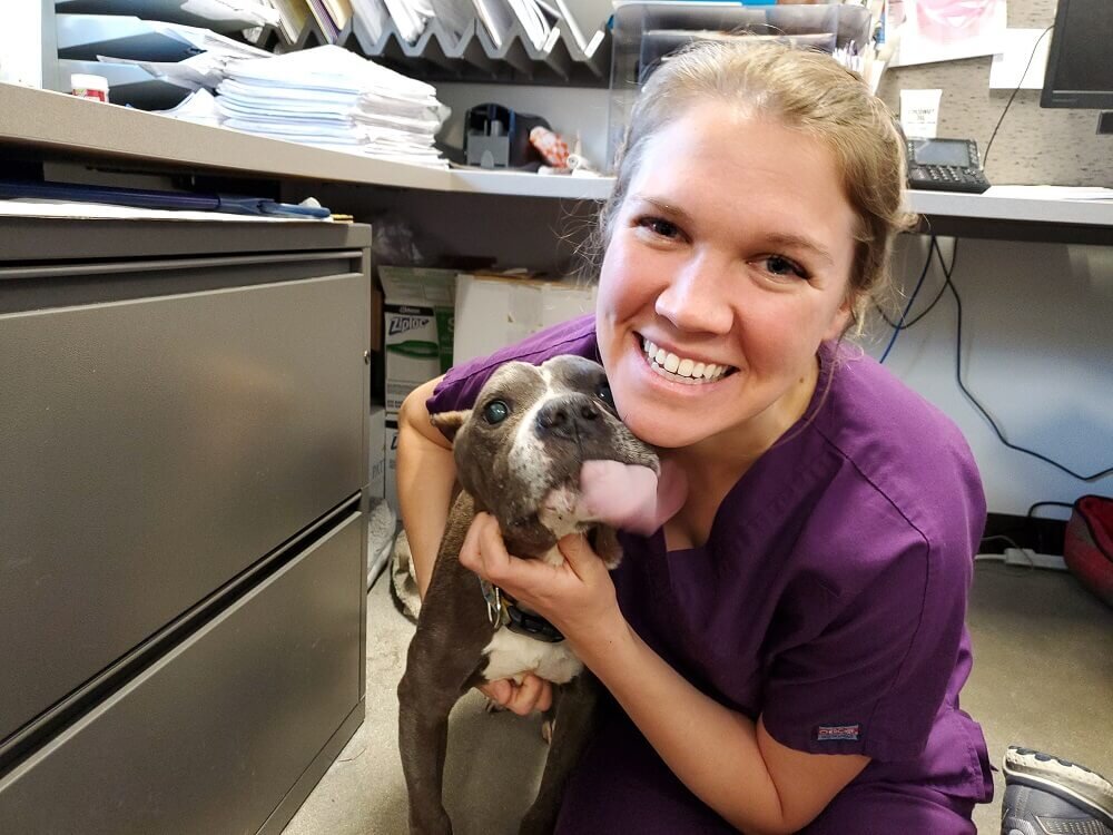 New Veterinarian Joins Lifesaving PACC Team — Friends of Pima Animal Care Center New Veterinarian Joins Lifesaving PACC Team — Friends of Pima Animal Care Center