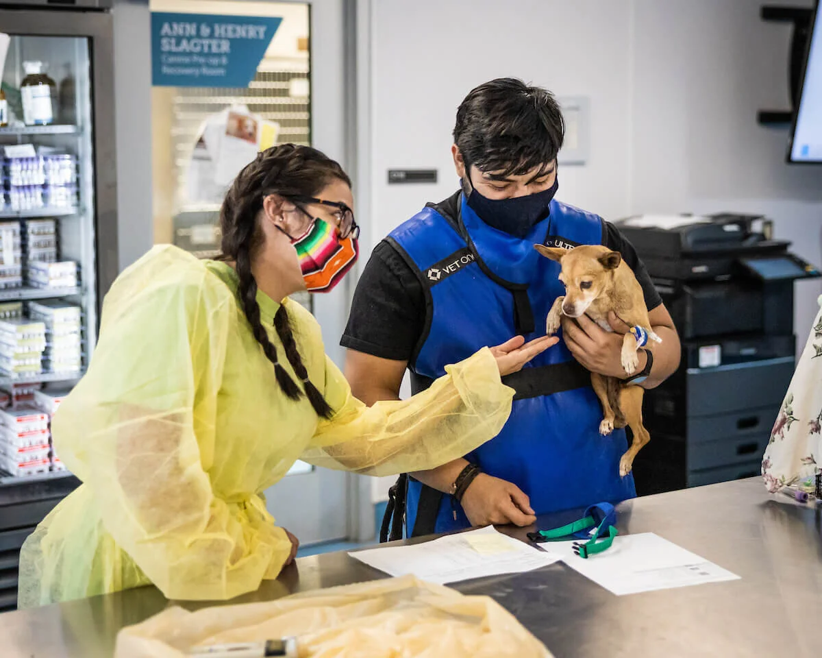 A Whole New World of Animal Services: Helping Pets and People through COVID-19