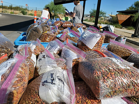 Bags of free pet food at a drive-thru community outreach event.